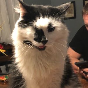 Meet your Posher, Marissa